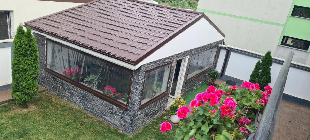 Отель Casa Gogu Нэводари Экстерьер фото